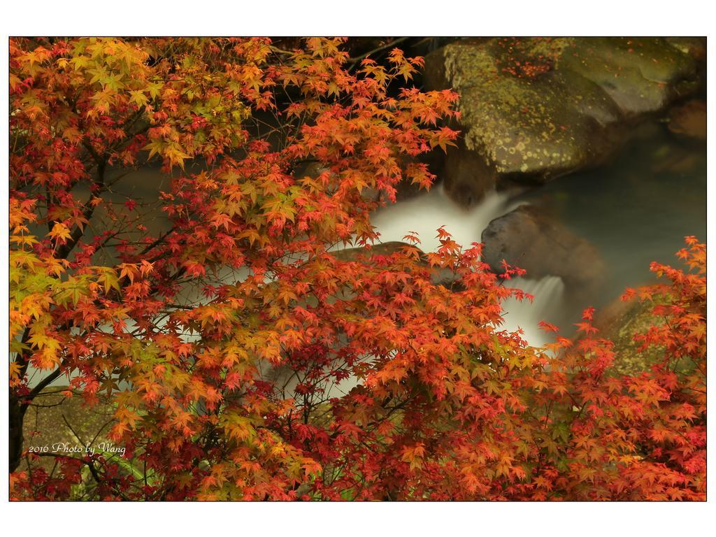 Maple' Smile Leilighet Taipei Eksteriør bilde