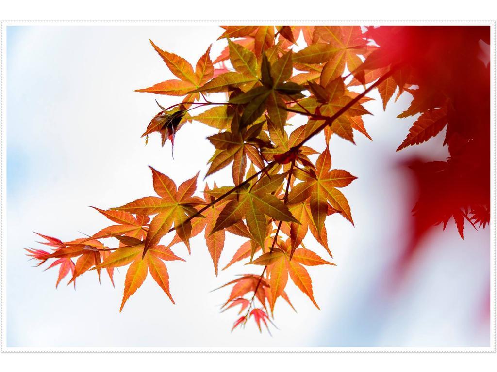 Maple' Smile Leilighet Taipei Eksteriør bilde