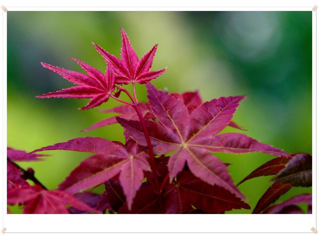 Maple' Smile Leilighet Taipei Eksteriør bilde