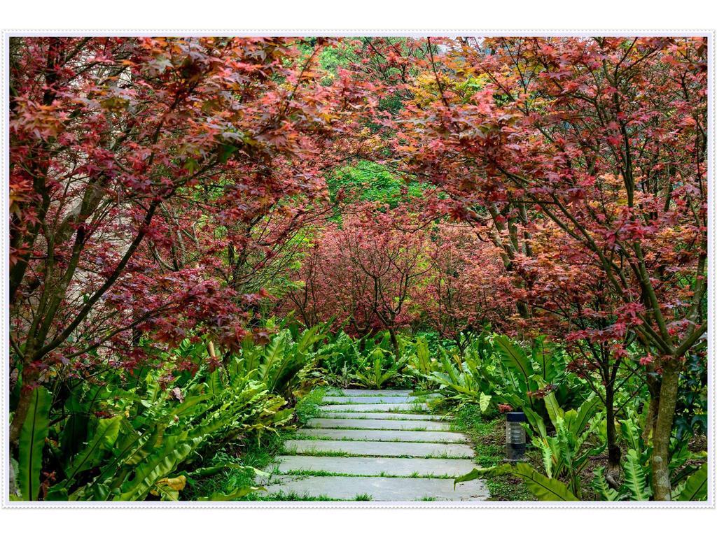 Maple' Smile Leilighet Taipei Eksteriør bilde