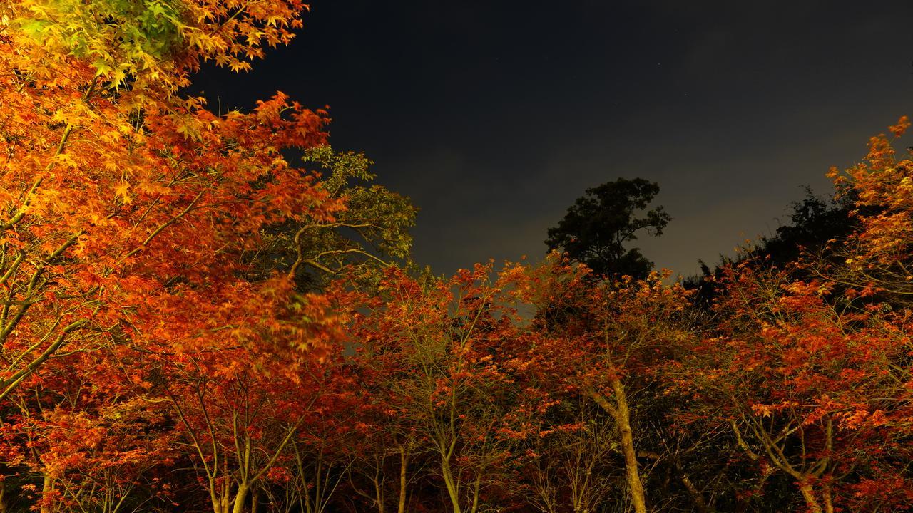 Maple' Smile Leilighet Taipei Eksteriør bilde